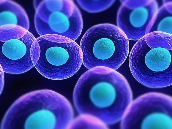 Stem Cells Βλαστοκύτταρα ΕΦΗ ΡΟΜΠΟΤΗ - EFI ROBOTI ΜΑΙΕΥΤΗΡΑΣ-ΧΕΙΡΟΥΡΓΟΣ ΓΥΝΑΙΚΟΛΟΓΟΣ GYNAECOLOGIST – OBSTETRICIAN
