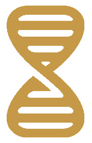 DNA Graphic in Dr. Efi Roboti Gold